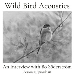 An Interview with Bo Söderström