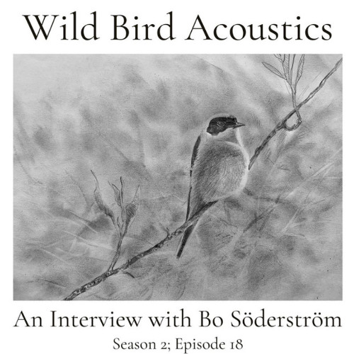 An Interview with Bo Söderström