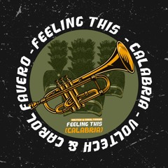Feeling This (Calabria) - Voltech, Carol Favero Bootleg(Radio)