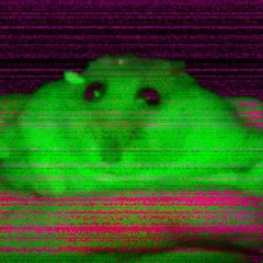 4550R7M3N755 {41!^3 M0U53 3D!7}