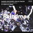 Sander Van Doorn X Selva X Macon - Raindrops (feat. Chacel) (DJ Jean-Luc Remix)