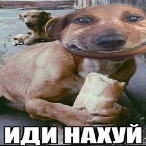 мама купи песека hoodtrap prod.by wainex!!