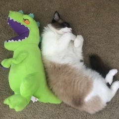 The Nine Lives Of Sorryx