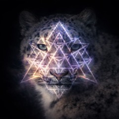 Nevada City Ecstatic Dance 1.27.2026