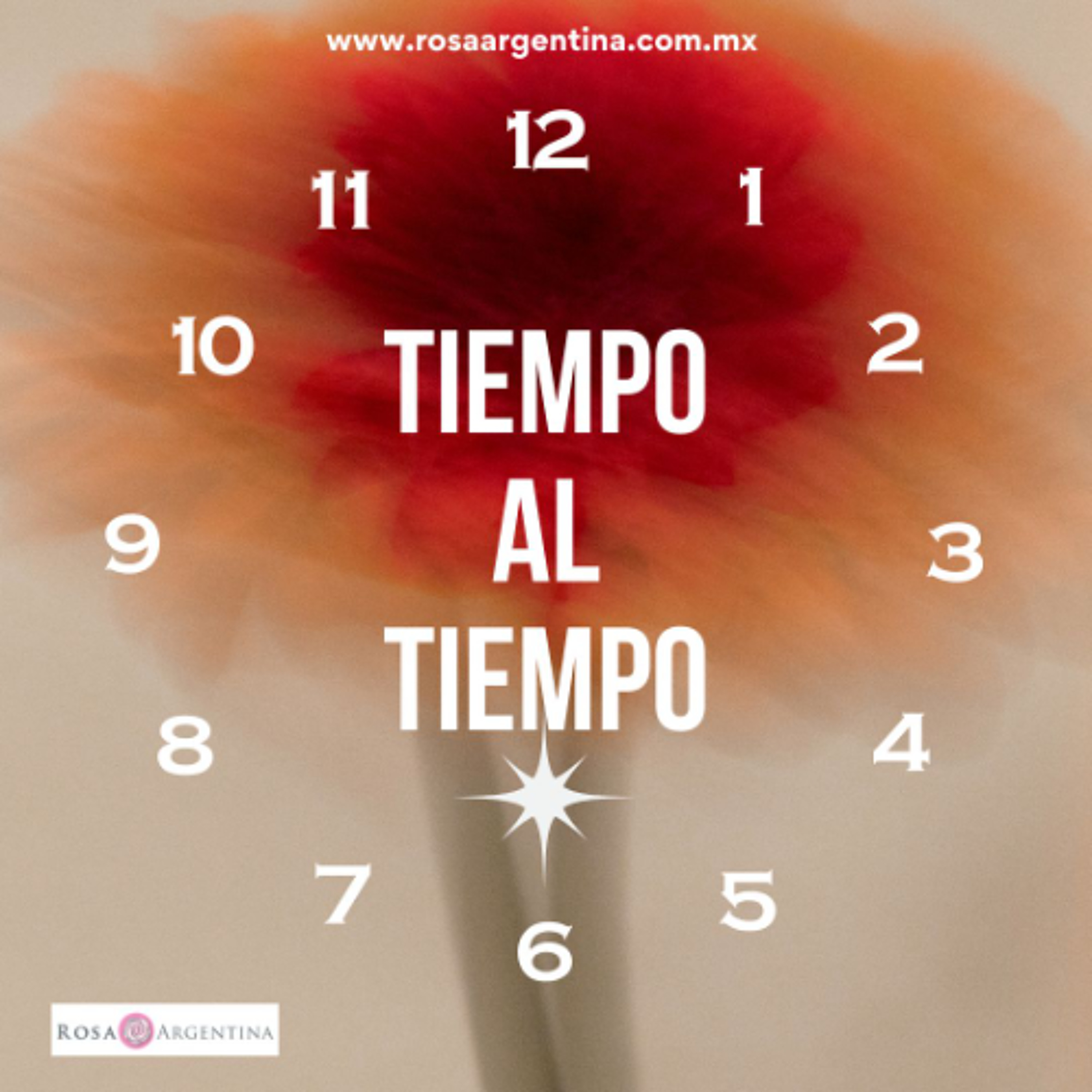 TIEMPO AL TIEMPO
