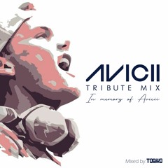 Avicii (Tribute Mix)