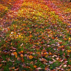 Seasons Change