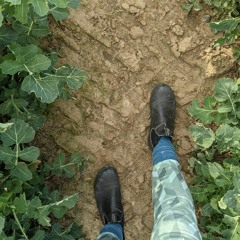 Embodiment On The Go