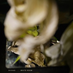 01 - Divvas - White Room