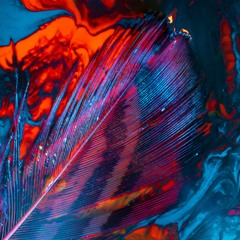 /deep_tech_house