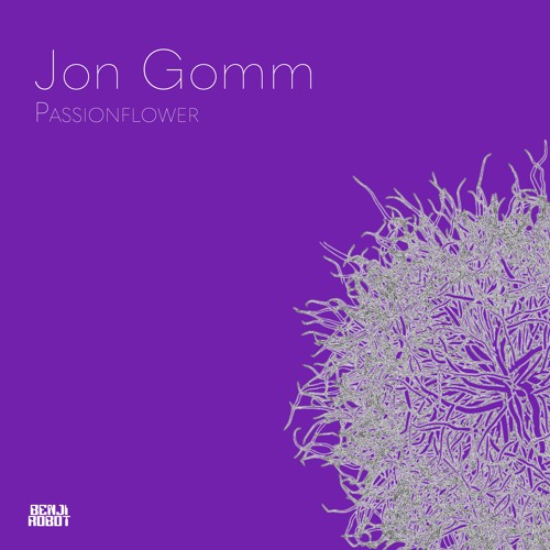 Jon Gomm - Passionflower (Benji Robot Edit)