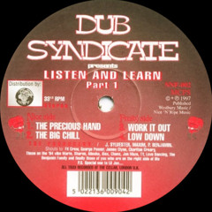 Dub Syndicate Productions - The Precious Hand