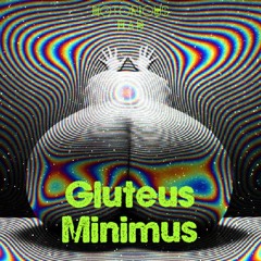 Gluteus Minimus