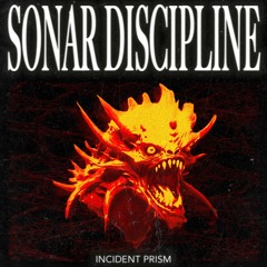 Incident Prism - Sonar Discipline