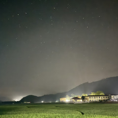 Spring snow 10CMost Love Runner