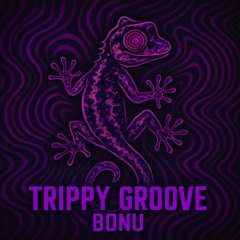 Trippy groove