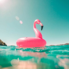 Fiesta Favourites (Tech) House Mix