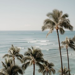 kokonuts 2.0 | mini melodic house mix