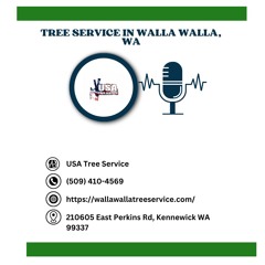 how-to-tell-if-a-tree-needs-to-be-removed-walla-walla-wa