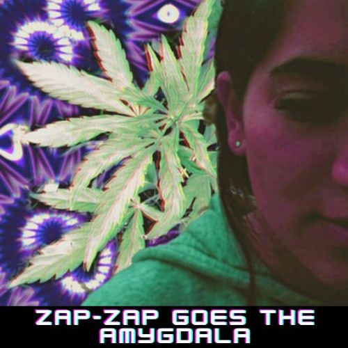 Zap-Zap Goes the Amygdala [live mix]