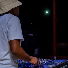 TheCaribbeanKingz Vol.1 Amapiano Mixed By NST GawDingaz