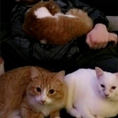 successful class assignment