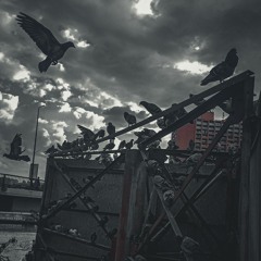 لأنك لست هنا يحدث هذا كله