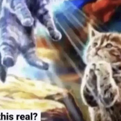 aint on nun prod aruit