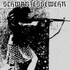 Schwarzesgewehr-March Onwards, To Victory