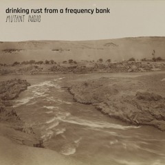 drinking rust from a frequency bank [16.12.25]