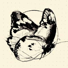 Coast (feat. Eric Benny Bloom, Borahm Lee & Hunter Roberts)