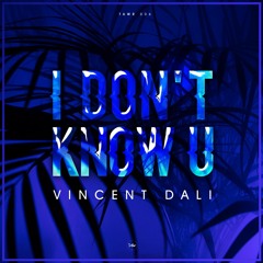 Vincent Dali - I Don`t Know U (Original Mix)