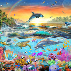 marechia | nu genea | tropical