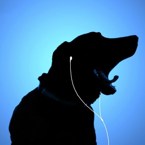 Singing stuff (songs with voices)