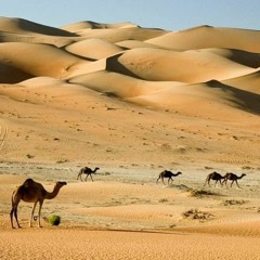 Janusz Pyda OP - I Niedziela Wielkiego Postu 2023 / rok A (godz. 8.00)