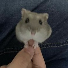 Hoodrich - Hxncho - Different Spedup