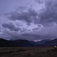 Lavendar Meadow