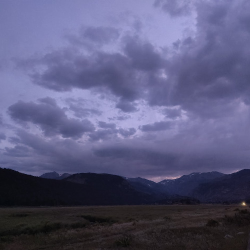 Lavendar Meadow