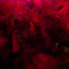 Minimal Motion - Studio Confessions 001
