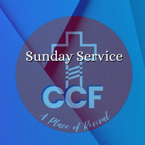 Love Is Our Responsibility - Bob Kotlarz