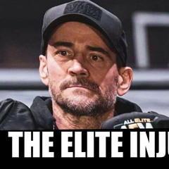CM PUNKS Dogg Attacked and Injured by THE ELITE ?