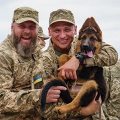 Сергій Жадан, Turchynov - Чужий