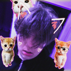 котики VODKA FREESTYLE  (90n1ght)