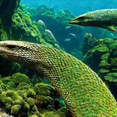 Serpents in Oceans