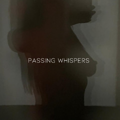 PREMIERE: Swann Decamme - Passing Whispers (Original Mix) [Curiosity Music]