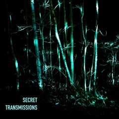 Secret Transmission Four