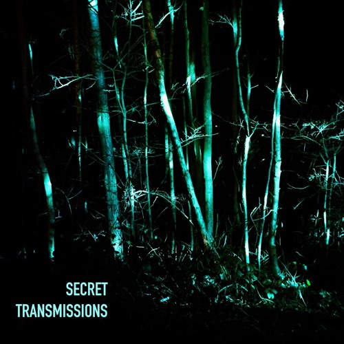 Secret Transmission Four