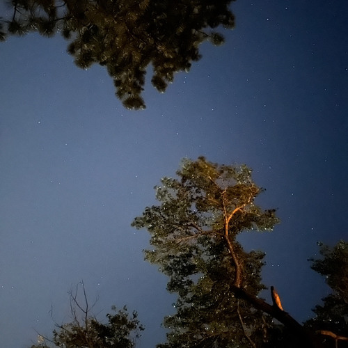 DJ PANDADUDE - Colorful (COLOR BASS)