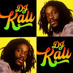 DJ Kali's Tribute to Dennis Brown (100% Vinyl)