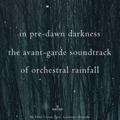 The Avant Garde Orchestra Play A Soundtrack Of Rainfall In Pre-Dawn Light (naviarhaiku510)
